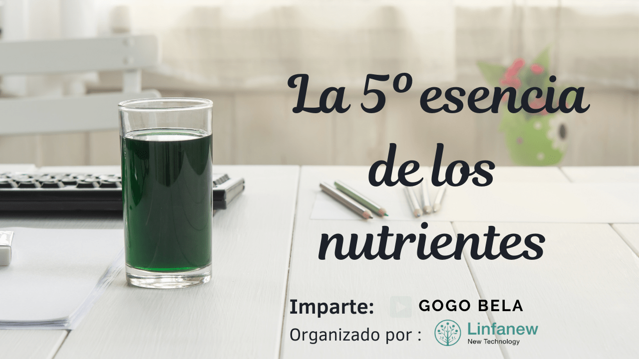La Clorofila la 5 esencia de los Nutrientes